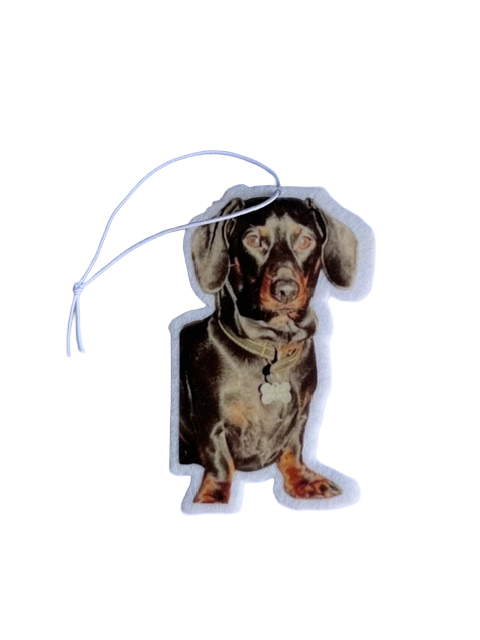 🚗 Customised Car Air Fresheners - Novelty Hanging Smelly for Vehicle Interior Decor
