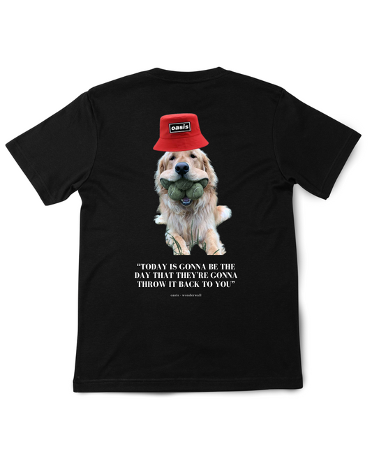 Funny T-Shirts - Rude Offensive Naughty Novelty Meme Printed Unisex Tees Tops Shirt for Nights Out Stags or Parties Quirky Charm Gift for Meme Enthusiasts